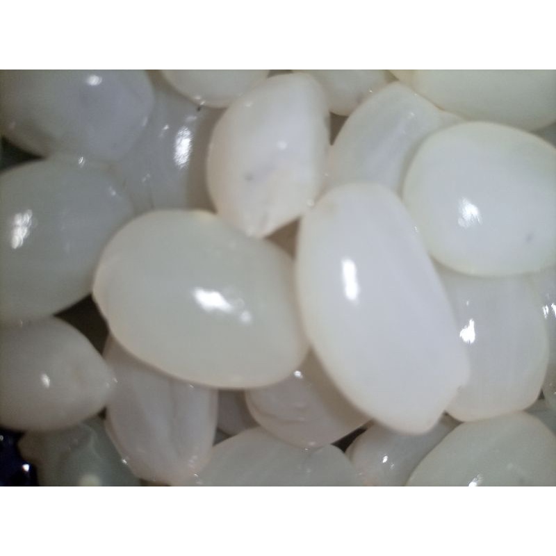 

Kolangkaling Mentah 1kg kolangkaling ( Cengkaleng )