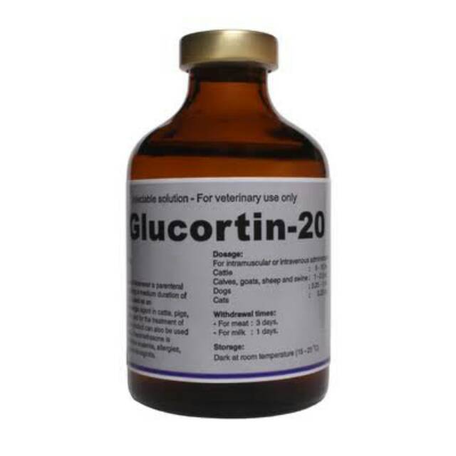Obat injeksi glucortin-20