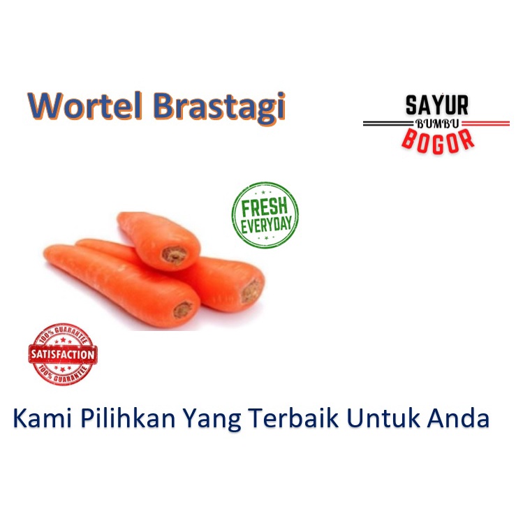 

Wortel Brastagi / Wortel Super / Wortel Sayur