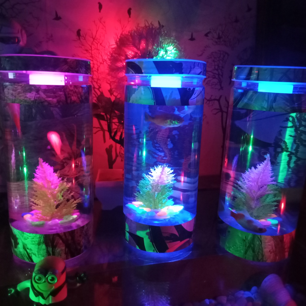 Aquarium Mini Tabung Ikan Cupang Hias Kecil Murah Akuarium Cupang Guppy TerMurah Mini Terlaris