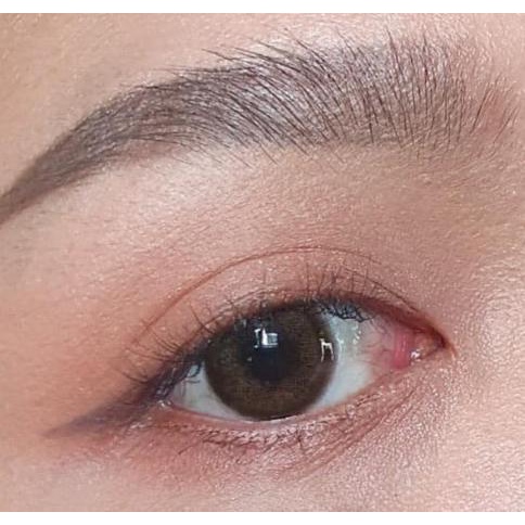 SOFTLENS MINI BIRKIN BROWN