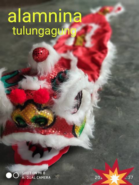 Barongsai mata lampu dan kedip kedip