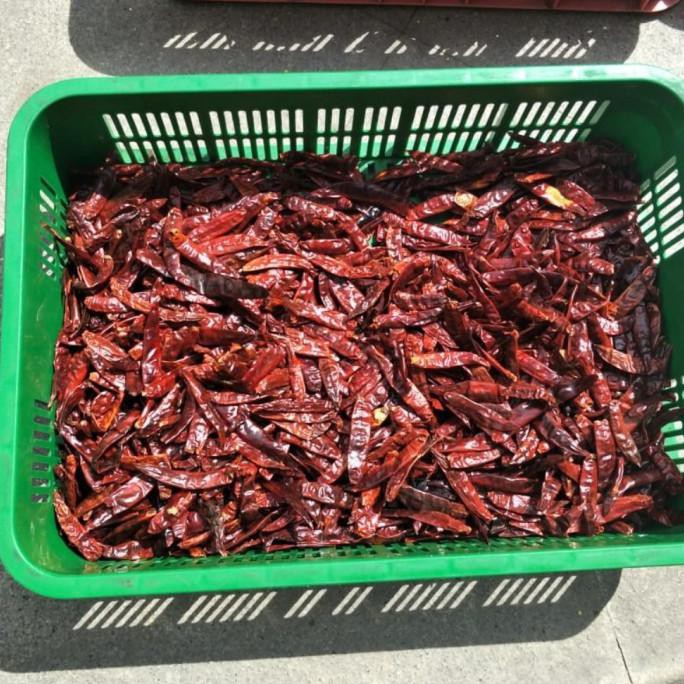 

CHILI DRY 1KG / CABE MERAH KERING / BESAR / MERAH / KERING / IMPORT