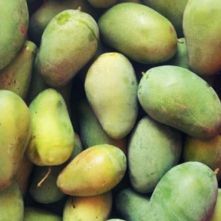 

Mangga Harum Manis Buah Segar IBAZA fruitsBOX