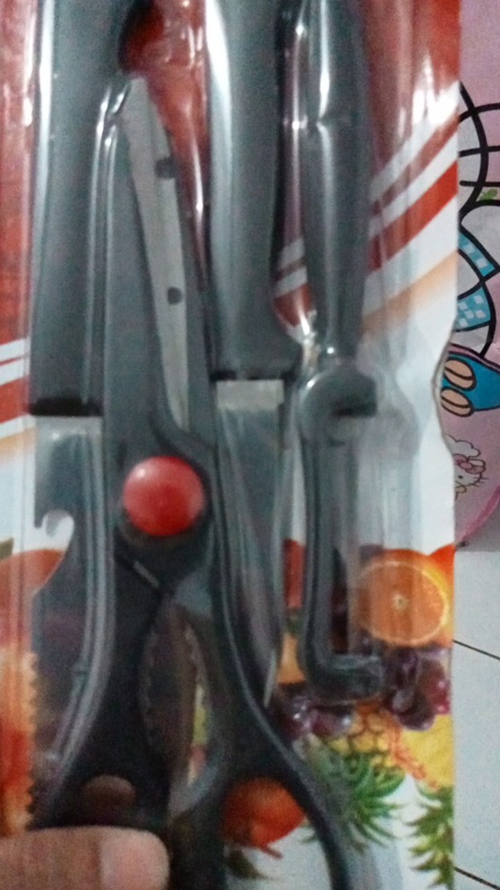 Pisau Dapur 4in1 Stainless Pisau Buah Gunting Pengupas Buah