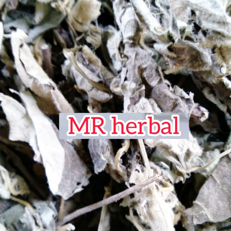 

Jual Daun Tempuyung kering 200 gram