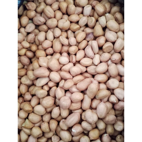 

KACANG TANAH INDIA GRADE A 100 GRAM