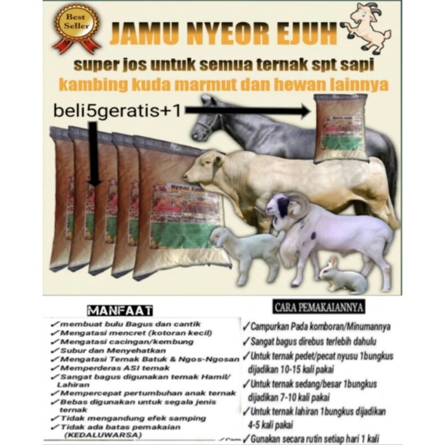 

JAMU NEOR EJUH UNTUK SEMUA TERNAK SPT SAPI KAMBING DOMBA KERBAU BANTENG KUDA DAN LAIN-LAIN
