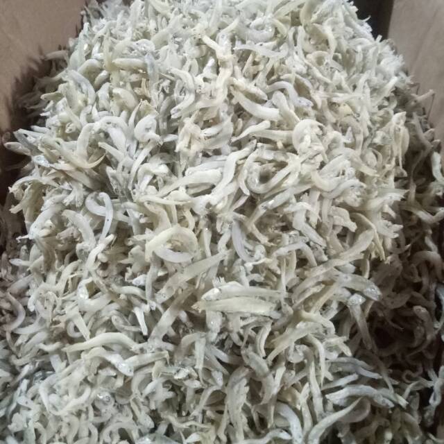 

Teri medan