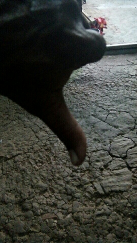 #bayardirumah Tunik Batik Wanita M L Xl Xxl Jumbo