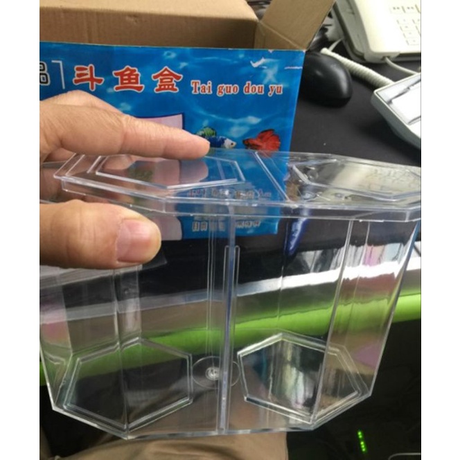 Aquarium Cupang Double / Dual BettaHex Kit / Akuarium Cupang dengan tutup / Aquarium Mini Cupang / A