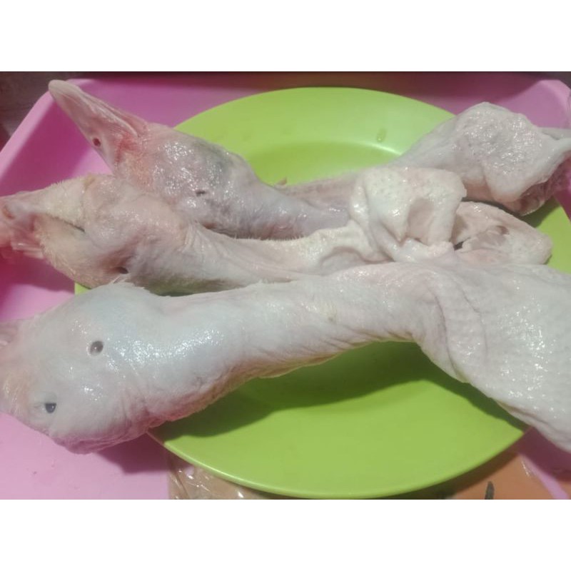 

Kepala Bebek Utuh Dengan Leher / Duck Head with neck berat 1kg