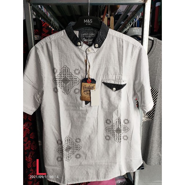 Kemeja koko cardinal