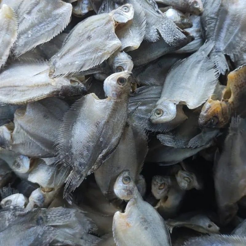 

Ikan asin sepat mini