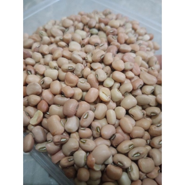 

KACANG TUNGGAG 250- 500GR