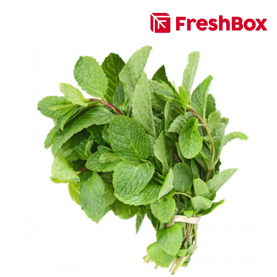 

Daun Mint 250gr FreshBox