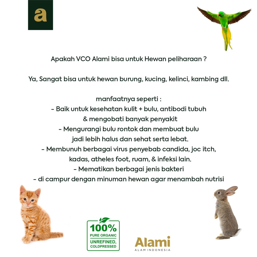 VCO Obat Jamur, Skabies, Diare, Koreng, Kucing Anjing Kelinci 60 ml