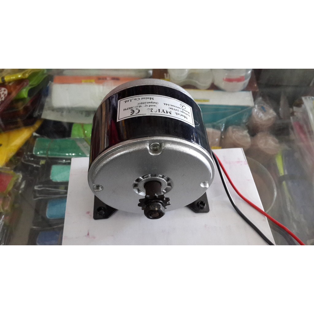 Dinamo skuter motor skuter sepeda listrik 250 watt 24v