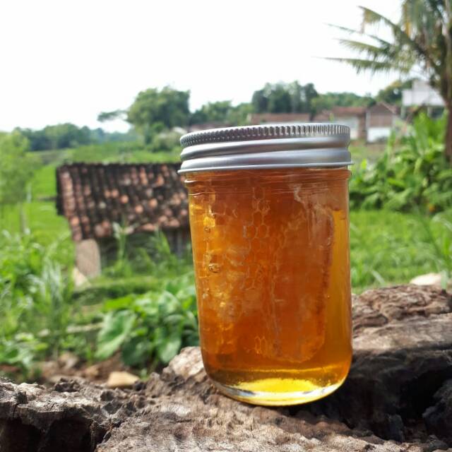 

Madu Murni asli Dari Hutan