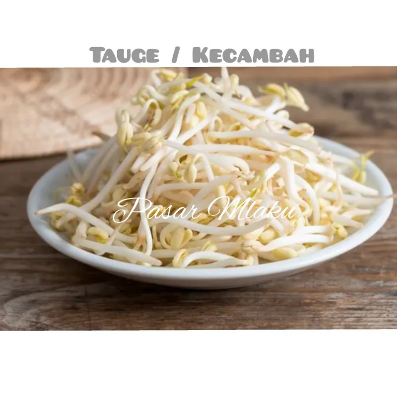 

KECAMBAH / TAUGE SAYURAN SEGAR