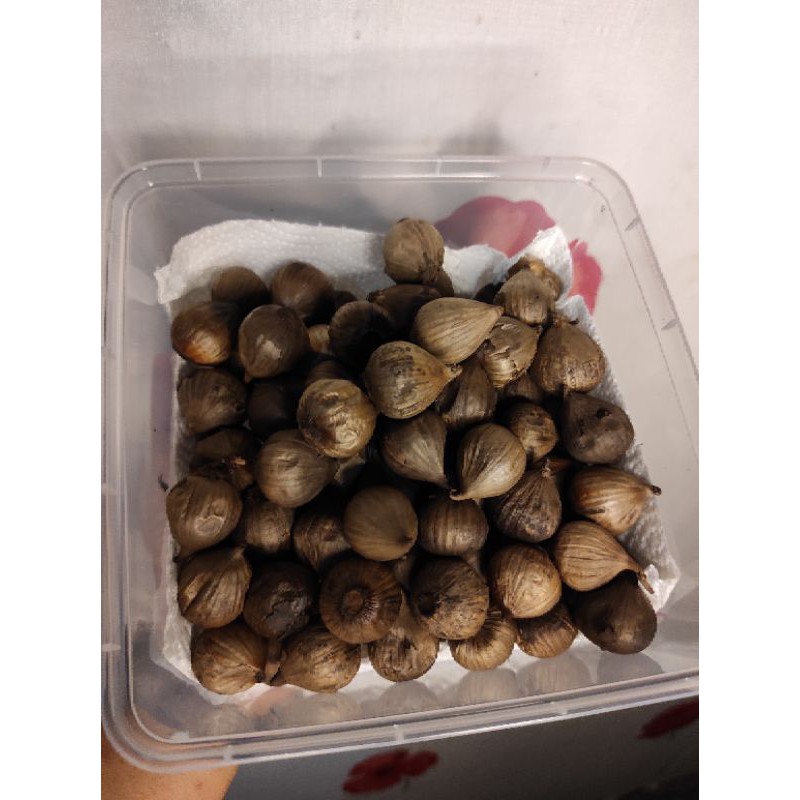 Black Garlic 1KG Bawang Hitam Tunggal