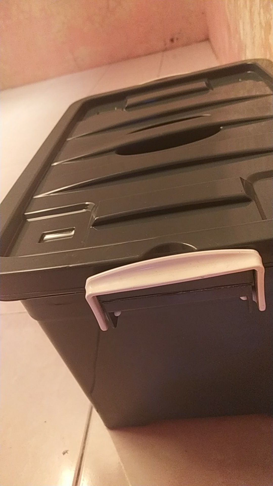 Box Container Roda  50ltr [caraville]