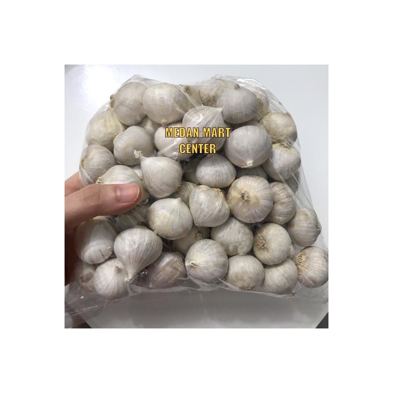 

BAWANG PUTIH TUNGGAL BAPUT GARLIC BAWANG OBAT BAWANG PUTIH LANANG REMPAH ALAMI