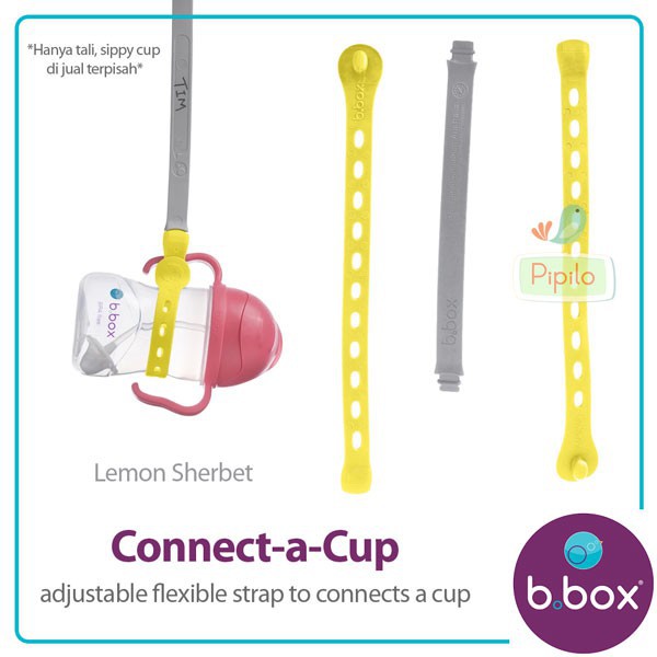 B.Box Connect A cup