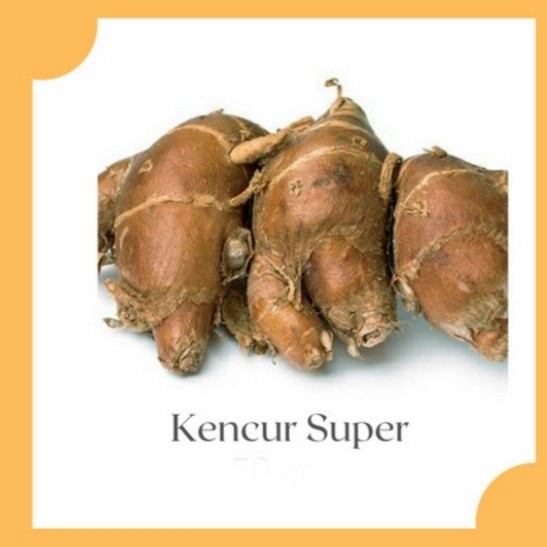 

Kencur / Cikur Sayuran Segar Alami 500 gram/Rempah good