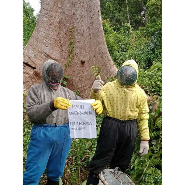 

Madu Hutan Murni 100%, Madu Uji Laboratorium Kementerian/Universitas Indonesia - Species Apis Dorsata Liar - berbagai nektar bunga-bunga hutan & Akasia