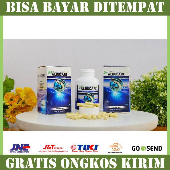 Albucare Obat Cuci Darah Herbal Walatra Albumin Asli 100 Kapsul Shopee Indonesia