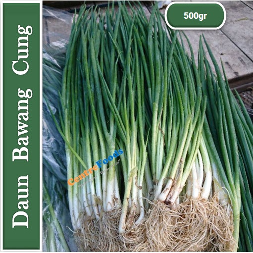 

Daun Bawang Cung - Daun Bawang Lokio Fresh | 500gr [ Harga Per 0,5kg ]