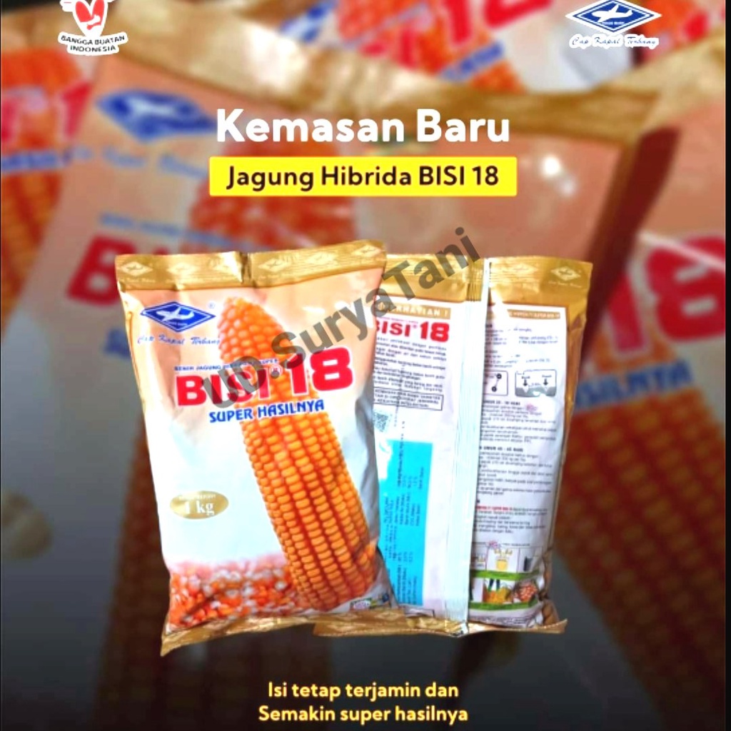 Benih jagung hibrida Bisi 18 isi 1kg jagung bisi18 bibit jagung bisi 18