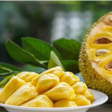 

Nangka Kupas 500 gram/ Nangka Buah Siap Makan/ Buah Nangka