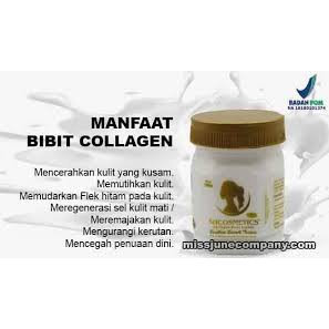 Pemutih Kulit Tubuh Sh Cosmetics Collagen Body Lotion Pemutih Badan Tangan Kaki Leher Handbody Pe Indonesia