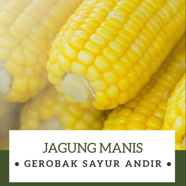 

Jagung Manis /kg
