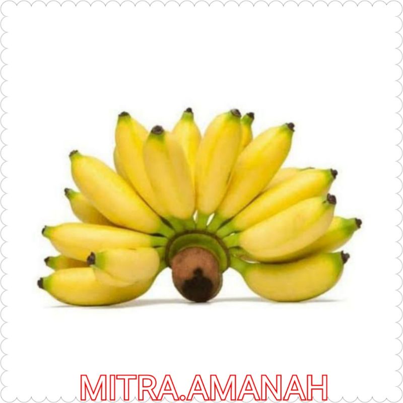 

BUAH PISANG LAMPUNG 2 SISIR