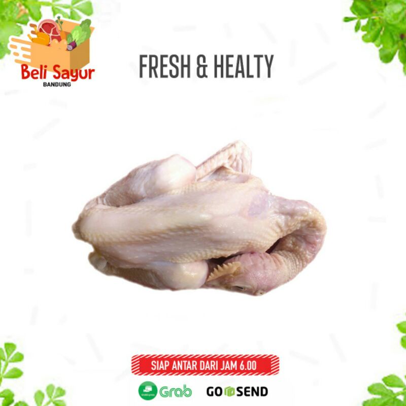 

Ayam Pejantan (uk 0.6 - 0.7kg) /ekor