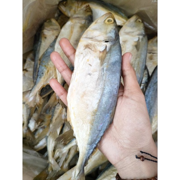 

IKAN ASIN PEDA 250gram