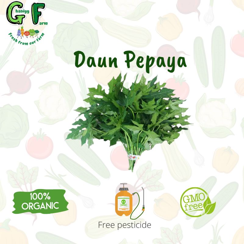 

Sayur Organik Bersertifikat - Daun Pepaya Organik 200 gram
