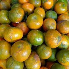 

Jeruk 500gr
