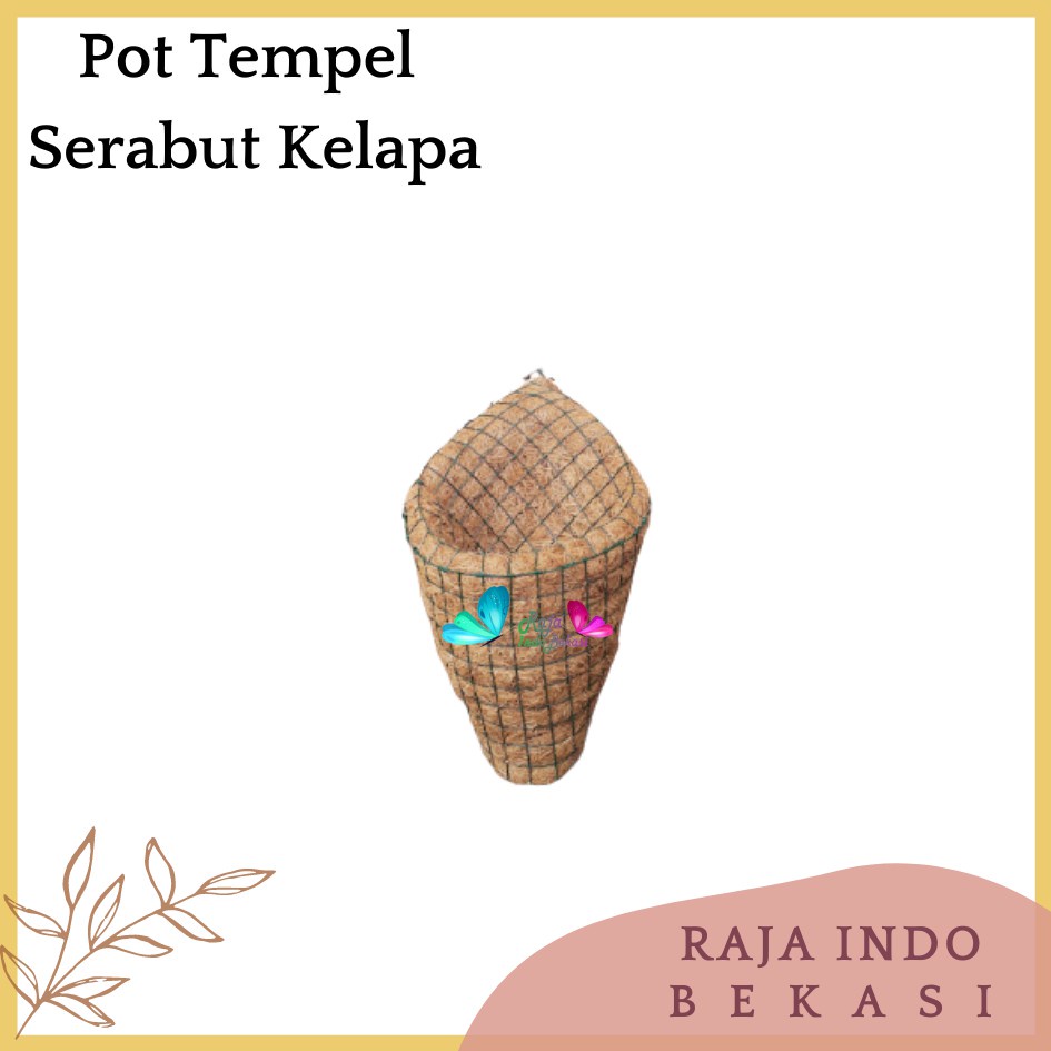 Pot Tempel Anggrek Kerucut Pot Sabut Kelapa Pot Serabut Kelapa Gantung Tanaman Anggrek Termurah