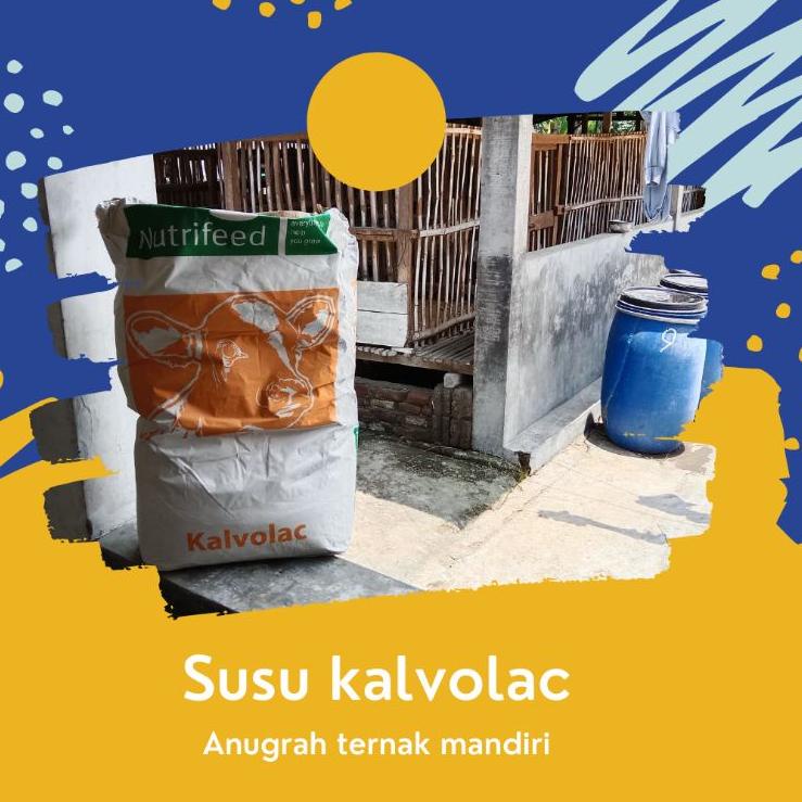 

︽ SUSU KALVOLAC | PENGGANTI SUSU INDUK TANPA DIARE NETTO 1KG STOK BANYAK 3691 ♘
