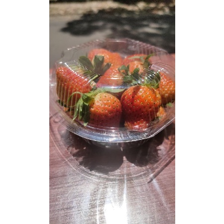 

Strawberry Segar Langsung Dipetik Dari Kebun