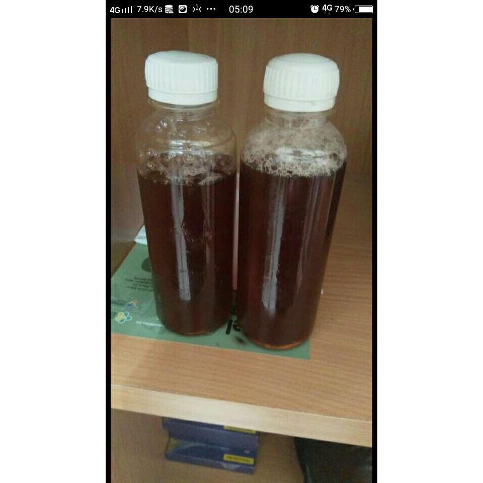 

Madu Klanceng 600 gram - Sragen