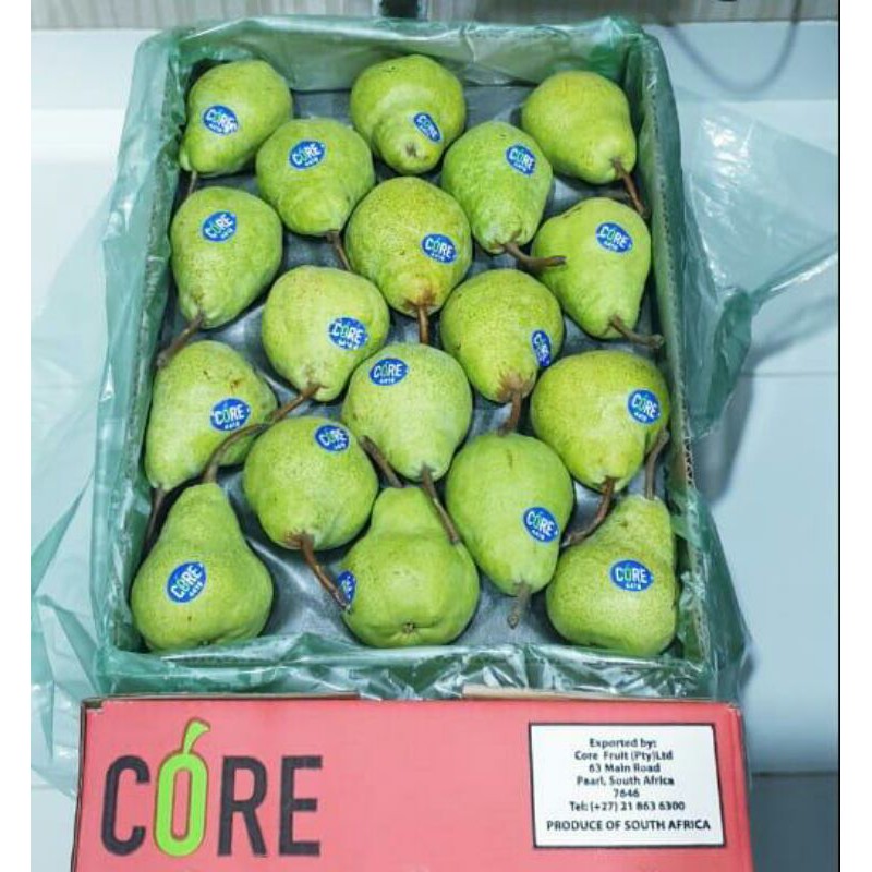 

BUAH PEAR PACHAM AFRIKA BESAR IMPORT 900gr / PIR PACHAM IMPOR / FRUIT MART