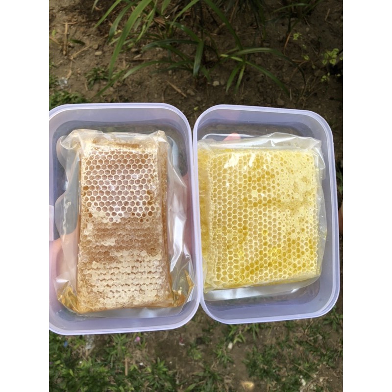 

Madu sarang asli 500 gram