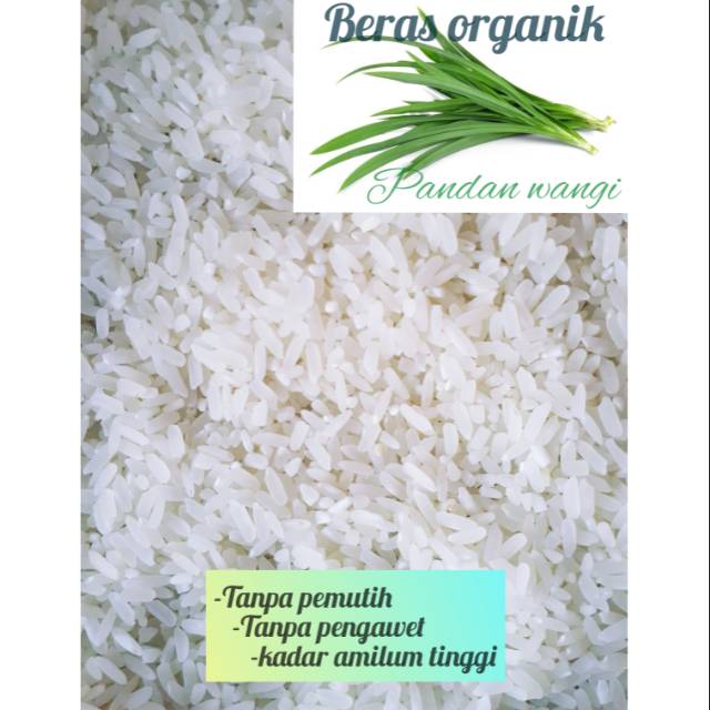 

Beras pandan wangi super 5 kg