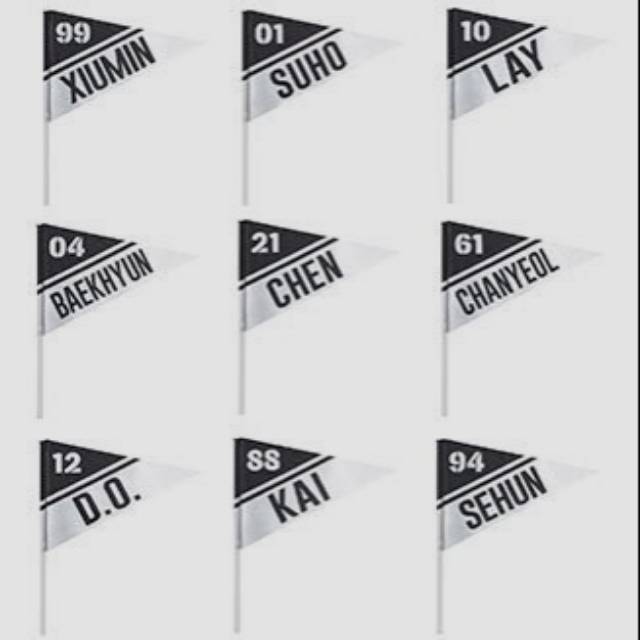 Exo cup japan fan meeting official cheering flags