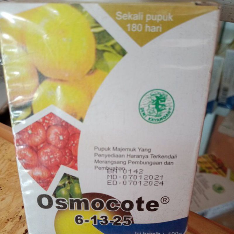 pupuk osmocote 6-13-25